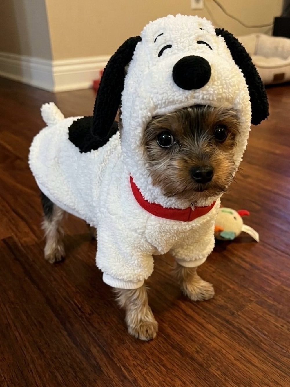 Snoopy Pet Costume Size S